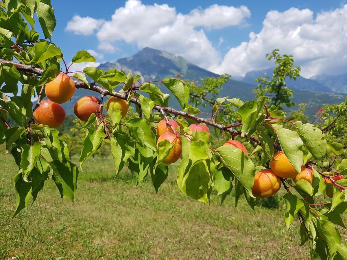 Agriturismo La Giasena Ponte nell'Alpi Luaran gambar