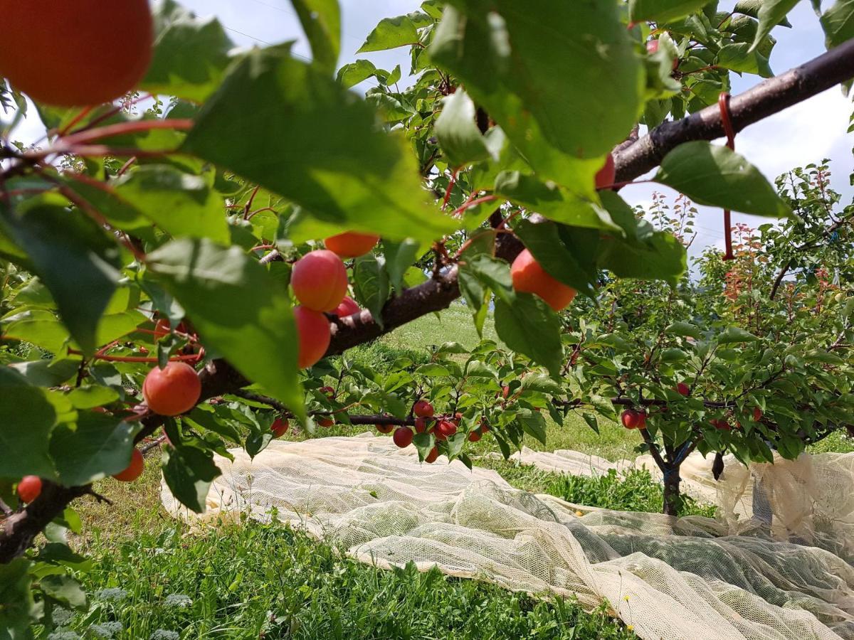 Agriturismo La Giasena Ponte nell'Alpi Luaran gambar