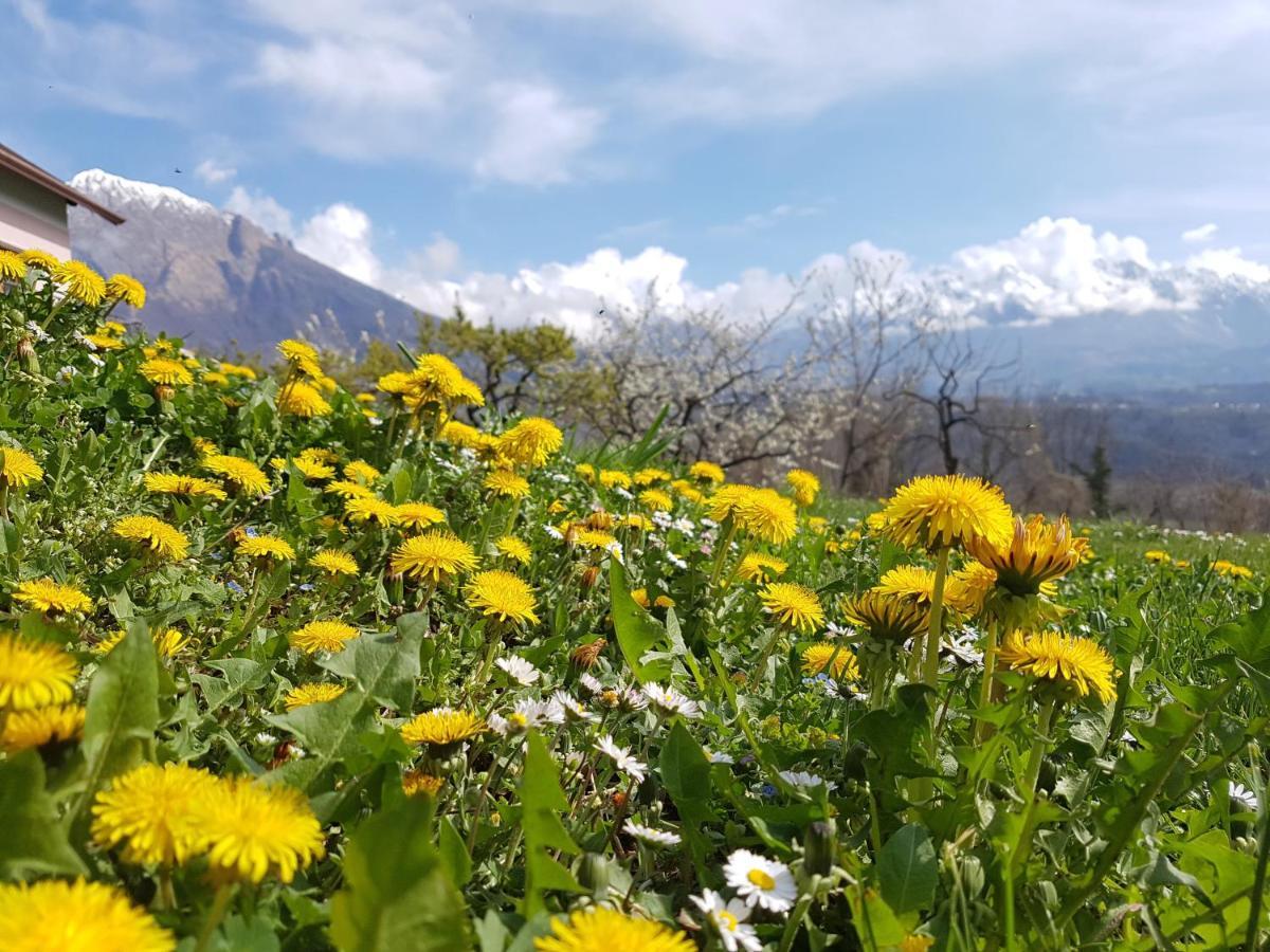 Agriturismo La Giasena Ponte nell'Alpi Luaran gambar