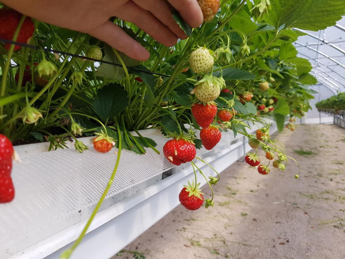 Agriturismo La Giasena Ponte nell'Alpi Luaran gambar