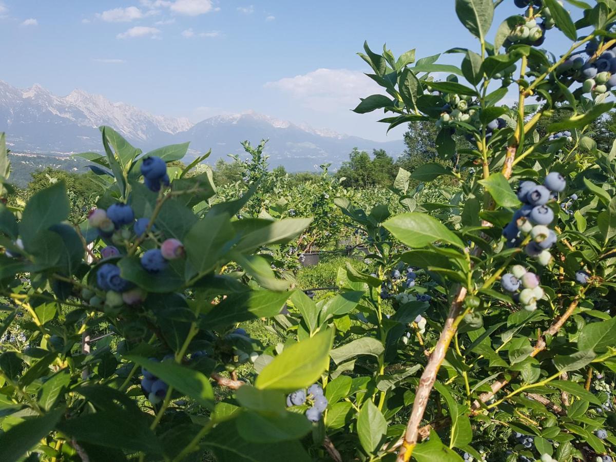 Agriturismo La Giasena Ponte nell'Alpi Luaran gambar