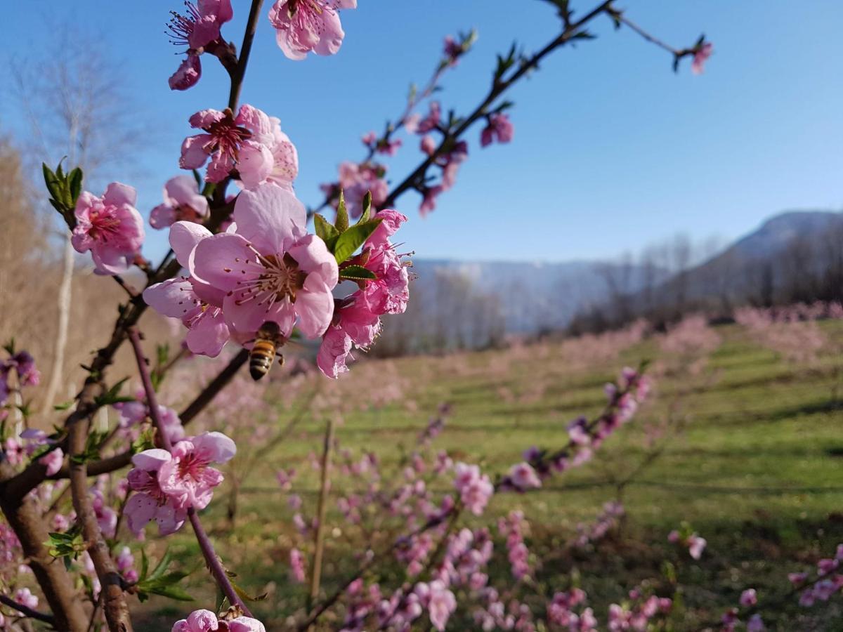 Agriturismo La Giasena Ponte nell'Alpi Luaran gambar