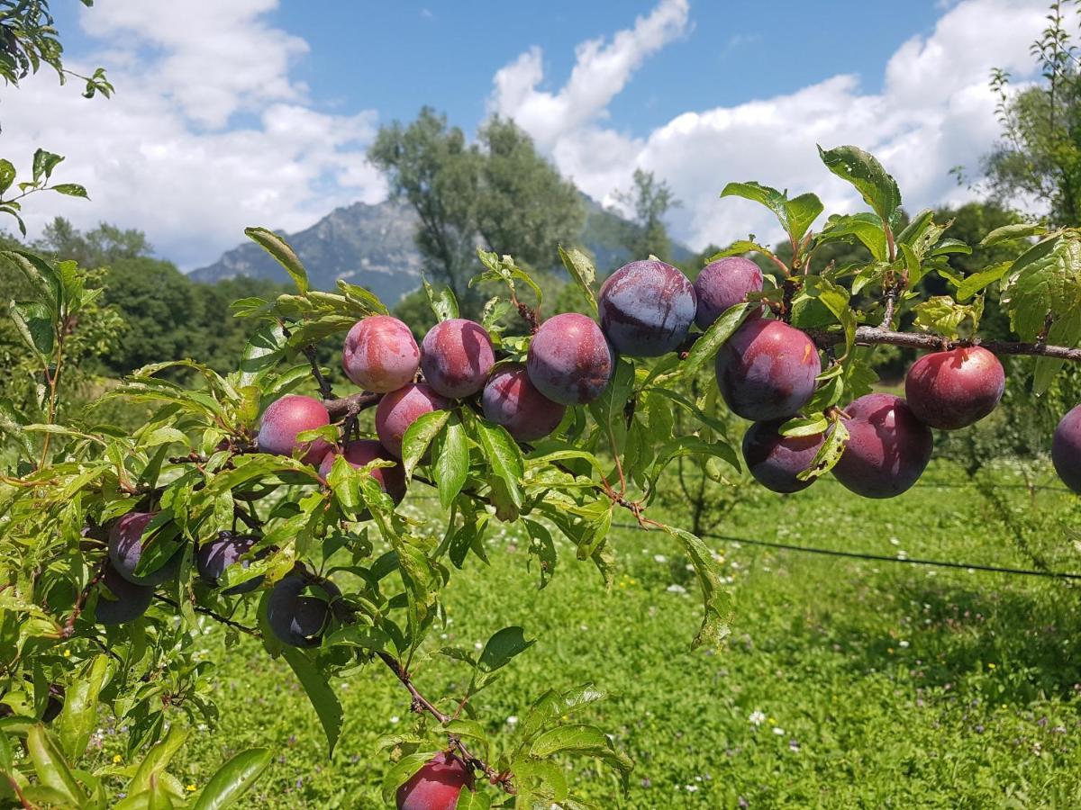Agriturismo La Giasena Ponte nell'Alpi Luaran gambar